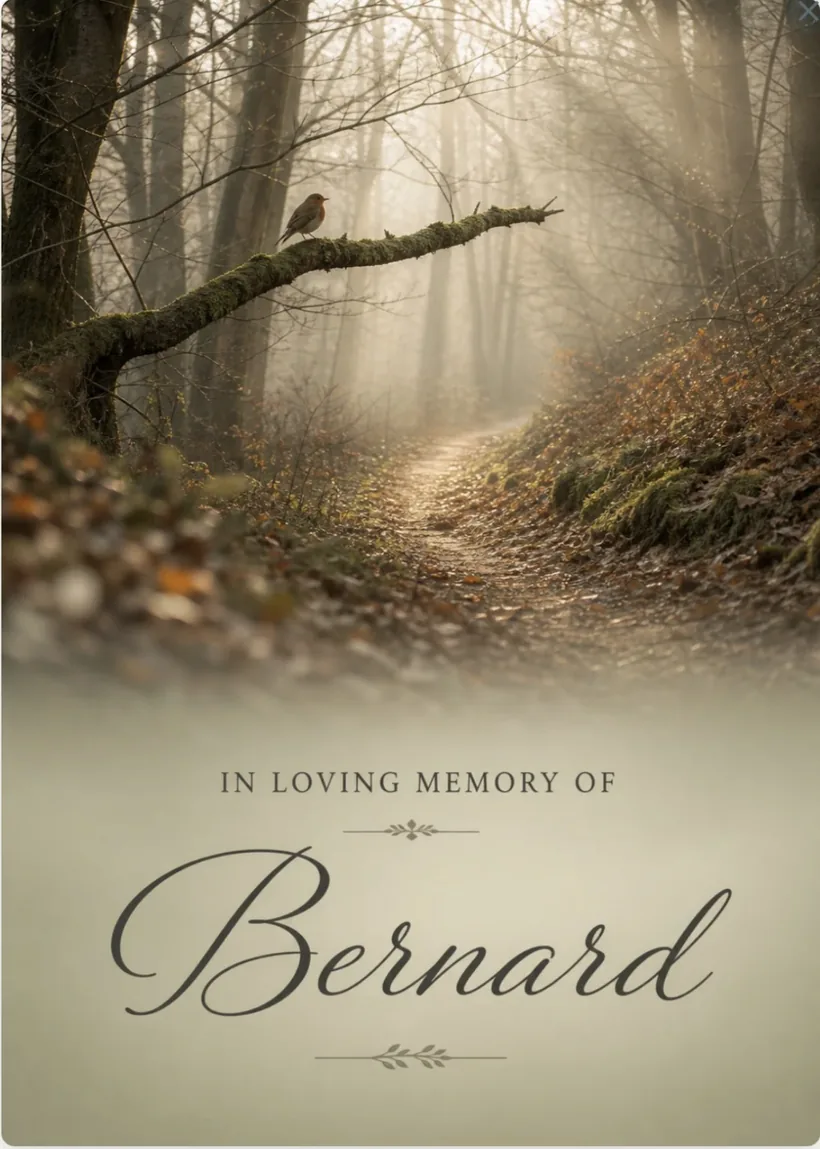 Signature card — Bernard, misty forest
